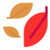 Fallen Leaf Emoji Copy Paste ― 🍂 - microsoft