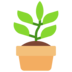 Potted Plant Emoji Copy Paste ― 🪴 - microsoft