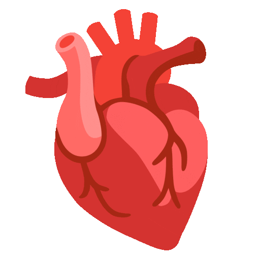 Anatomical Heart Emoji Copy Paste ― 🫀 - noto-color