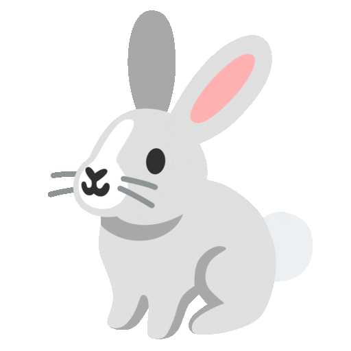Rabbit Emoji Copy Paste ― 🐇 - noto-color