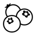 Blueberries Emoji Copy Paste ― 🫐 - noto