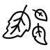 Fallen Leaf Emoji Copy Paste ― 🍂 - noto