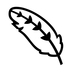 Feather Emoji Copy Paste ― 🪶 - noto