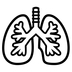 Lungs Emoji Copy Paste ― 🫁 - noto