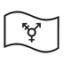 Transgender Flag Emoji Copy Paste ― 🏳️‍⚧ - noto