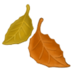 Fallen Leaf Emoji Copy Paste ― 🍂 - samsung