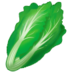 Leafy Green Emoji Copy Paste ― 🥬 - samsung