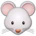 Mouse Face Emoji Copy Paste ― 🐭 - samsung