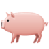 Pig Emoji Copy Paste ― 🐖 - samsung