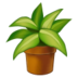 Potted Plant Emoji Copy Paste ― 🪴 - samsung