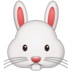 Rabbit Face Emoji Copy Paste ― 🐰 - samsung