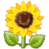 Sunflower Emoji Copy Paste ― 🌻 - samsung