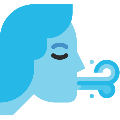 Wind Face Emoji Copy Paste ― 🌬️ - skype