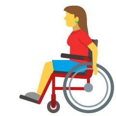 Woman In Manual Wheelchair Emoji Copy Paste ― 👩‍🦽 - skype
