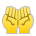 Palms Up Together Emoji Copy Paste ― 🤲 - sony-playstation