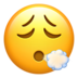 Face Exhaling Emoji Copy Paste ― 😮‍💨 - apple