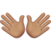 Open Hands: Medium Skin Tone Emoji Copy Paste ― 👐🏽 - apple