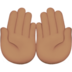 Palms Up Together: Medium Skin Tone Emoji Copy Paste ― 🤲🏽 - apple