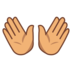 Open Hands: Medium Skin Tone Emoji Copy Paste ― 👐🏽 - emojidex