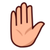 Raised Hand: Medium-light Skin Tone Emoji Copy Paste ― ✋🏼 - emojidex
