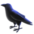 Black Bird Emoji Copy Paste ― 🐦‍⬛ - facebook