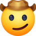 Cowboy Hat Face Emoji Copy Paste ― 🤠 - facebook