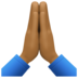 Folded Hands: Medium-dark Skin Tone Emoji Copy Paste ― 🙏🏾 - facebook
