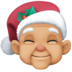 Mx Claus: Medium-light Skin Tone Emoji Copy Paste ― 🧑🏼‍🎄 - facebook