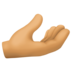 Palm Up Hand: Medium Skin Tone Emoji Copy Paste ― 🫴🏽 - facebook