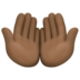 Palms Up Together: Dark Skin Tone Emoji Copy Paste ― 🤲🏿 - facebook