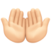 Palms Up Together: Light Skin Tone Emoji Copy Paste ― 🤲🏻 - facebook