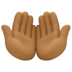 Palms Up Together: Medium-dark Skin Tone Emoji Copy Paste ― 🤲🏾 - facebook
