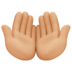 Palms Up Together: Medium-light Skin Tone Emoji Copy Paste ― 🤲🏼 - facebook