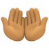 Palms Up Together: Medium Skin Tone Emoji Copy Paste ― 🤲🏽 - facebook