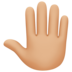 Raised Back Of Hand: Medium-light Skin Tone Emoji Copy Paste ― 🤚🏼 - facebook