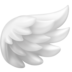 Wing Emoji Copy Paste ― 🪽 - facebook