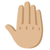 Raised Back Of Hand: Medium-light Skin Tone Emoji Copy Paste ― 🤚🏼 - google-android