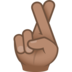 Crossed Fingers: Medium Skin Tone Emoji Copy Paste ― 🤞🏽 - joypixels