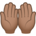 Palms Up Together: Medium Skin Tone Emoji Copy Paste ― 🤲🏽 - joypixels