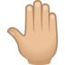 Raised Back Of Hand: Medium-light Skin Tone Emoji Copy Paste ― 🤚🏼 - joypixels