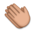 Clapping Hands: Medium Skin Tone Emoji Copy Paste ― 👏🏽 - lg
