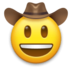 Cowboy Hat Face Emoji Copy Paste ― 🤠 - lg