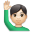 Man Raising Hand: Light Skin Tone Emoji Copy Paste ― 🙋🏻‍♂ - lg