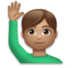 Man Raising Hand: Medium Skin Tone Emoji Copy Paste ― 🙋🏽‍♂ - lg