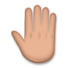 Raised Back Of Hand: Medium Skin Tone Emoji Copy Paste ― 🤚🏽 - lg