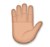 Raised Hand: Medium Skin Tone Emoji Copy Paste ― ✋🏽 - lg