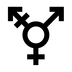 Transgender Symbol Emoji Copy Paste ― ⚧️ - noto
