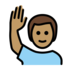 Man Raising Hand: Medium Skin Tone Emoji Copy Paste ― 🙋🏽‍♂ - openmoji