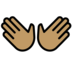 Open Hands: Medium Skin Tone Emoji Copy Paste ― 👐🏽 - openmoji