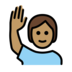 Person Raising Hand: Medium Skin Tone Emoji Copy Paste ― 🙋🏽 - openmoji